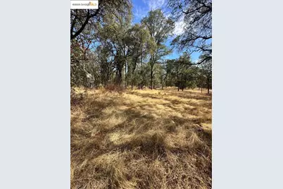 18891 Tanglewood Hollow Way, Grass Valley, CA 95949 - Photo 21