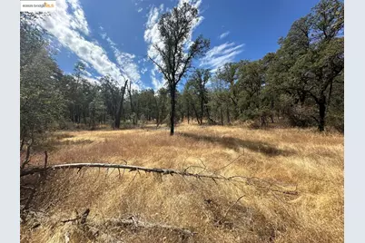 18891 Tanglewood Hollow Way, Grass Valley, CA 95949 - Photo 7