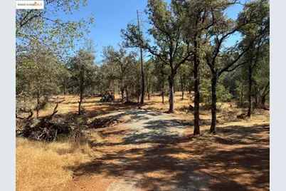 18891 Tanglewood Hollow Way, Grass Valley, CA 95949 - Photo 7