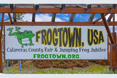 2883 Chinook Way, Dorrington, CA 95223 - Photo 57