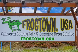 2883 Chinook Way, Dorrington, CA 95223 - Photo 57