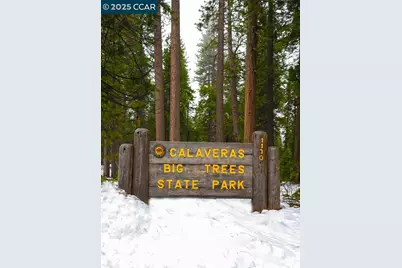 2883 Chinook Way, Dorrington, CA 95223 - Photo 39