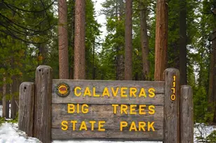 2883 Chinook Way, Dorrington, CA 95223 - Photo 39