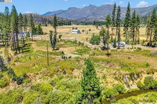 185 Spirit Spgs, Greenville, CA 95947 - Photo 15