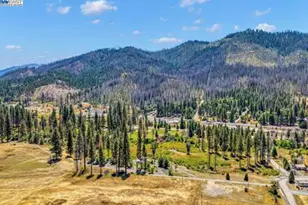 185 Spirit Spgs, Greenville, CA 95947 - Photo 11