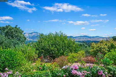 7 Sky Terrace, Danville, CA 94526 - Photo 1