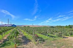 2915 Vasco Rd, Livermore, CA 94550 - Photo 19