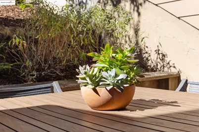 935 Hillside Ave, Albany, CA 94706 - Photo 35