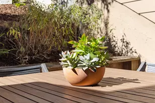 935 Hillside Ave, Albany, CA 94706 - Photo 35