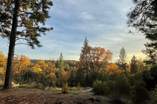 15003 Alleghany Rd, North San Juan, CA 95960 - Photo 19