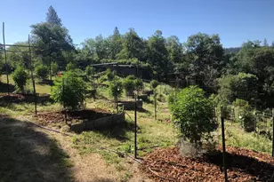 15003 Alleghany Rd, North San Juan, CA 95960 - Photo 17