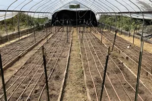 15003 Alleghany Rd, North San Juan, CA 95960 - Photo 25