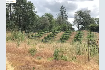 15003 Alleghany Rd, North San Juan, CA 95960 - Photo 11