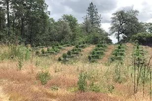 15003 Alleghany Rd, North San Juan, CA 95960 - Photo 11