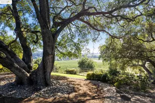 1531 Foster Rd, Napa, CA 94558 - Photo 45