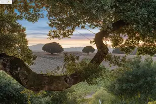 1531 Foster Rd, Napa, CA 94558 - Photo 55