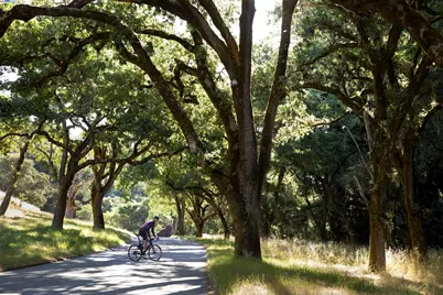 11 Arroyo Sequoia, Carmel, CA 93923 - Photo 19