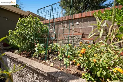 462 Cavour St, Oakland, CA 94618 - Photo 21