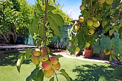 2309 High St, Oakland, CA 94601 - Photo 3