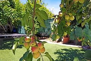 2309 High St, Oakland, CA 94601 - Photo 3