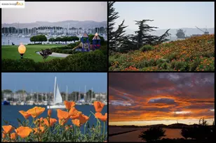 15 Shoreline Ct, Richmond, CA 94804 - Photo 53