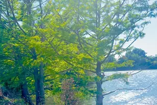 37230 2nd St, Fremont, CA 94536 - Photo 45