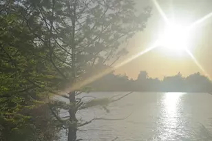 37230 2nd St, Fremont, CA 94536 - Photo 49