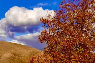 37230 2nd St, Fremont, CA 94536 - Photo 47