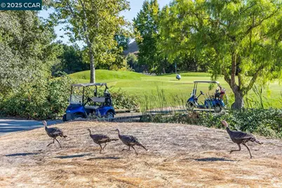 6223 Newhaven Ln, Vallejo, CA 94591 - Photo 57