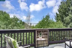 1215 Alvarado Rd, Berkeley, CA 94705 - Photo 43