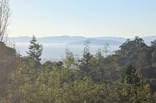 1215 Alvarado Rd, Berkeley, CA 94705 - Photo 5