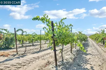 0 Empire Ave, Oakley, CA 94561 - Photo 11