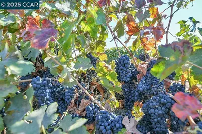 0 Empire Ave, Oakley, CA 94561 - Photo 13