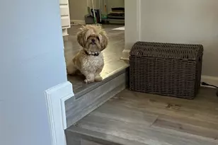 2816 Viola St, Oakland, CA 94619 - Photo 9