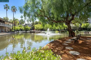 300 Civic Dr, Walnut Creek, CA 94596 - Photo 49