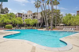 300 Civic Dr, Walnut Creek, CA 94596 - Photo 33