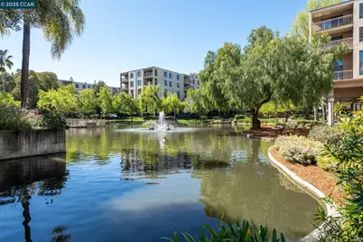 300 Civic Dr #303, Walnut Creek, CA 94596 - Photo 45