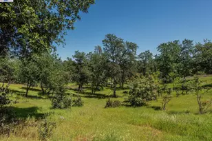 21679 Squaw Grass Trail, Redding, CA 96003 - Photo 49