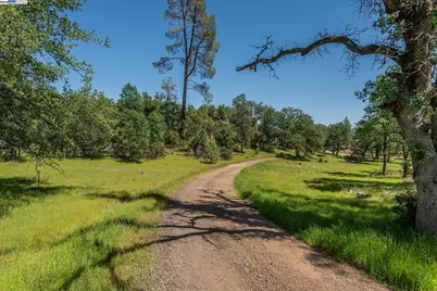 21679 Squaw Grass Trail, Redding, CA 96003 - Photo 5
