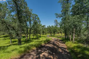 21679 Squaw Grass Trail, Redding, CA 96003 - Photo 43