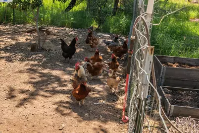 21679 Squaw Grass Trail, Redding, CA 96003 - Photo 55