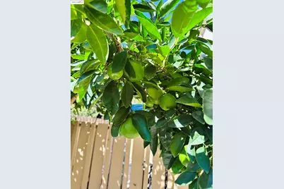 9005 Alcosta Blvd #189, San Ramon, CA 94583 - Photo 19