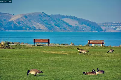 236 Buckley St, Martinez, CA 94553 - Photo 39