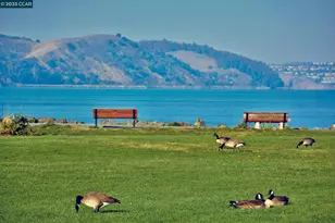 236 Buckley St, Martinez, CA 94553 - Photo 39