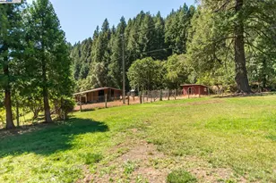 4481 Rush Creek Rd, Lewiston, CA 96052 - Photo 43