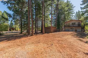 230 Lakeview Dr, Trinity Center, CA 96091 - Photo 47