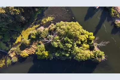 Goldrift Island, Byron, CA 94514 - Photo 11