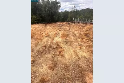 4040 Tin Ranch Rd, Georgetown, CA 95634 - Photo 5