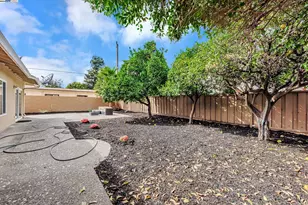 38131 Acacia St, Fremont, CA 94536 - Photo 37