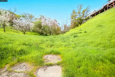 40 Rodrigues Ln, Walnut Creek, CA 94597 - Photo 5